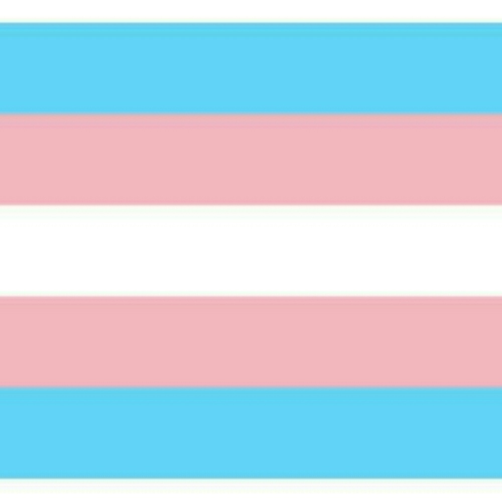 A note to Trans and NB Poshers